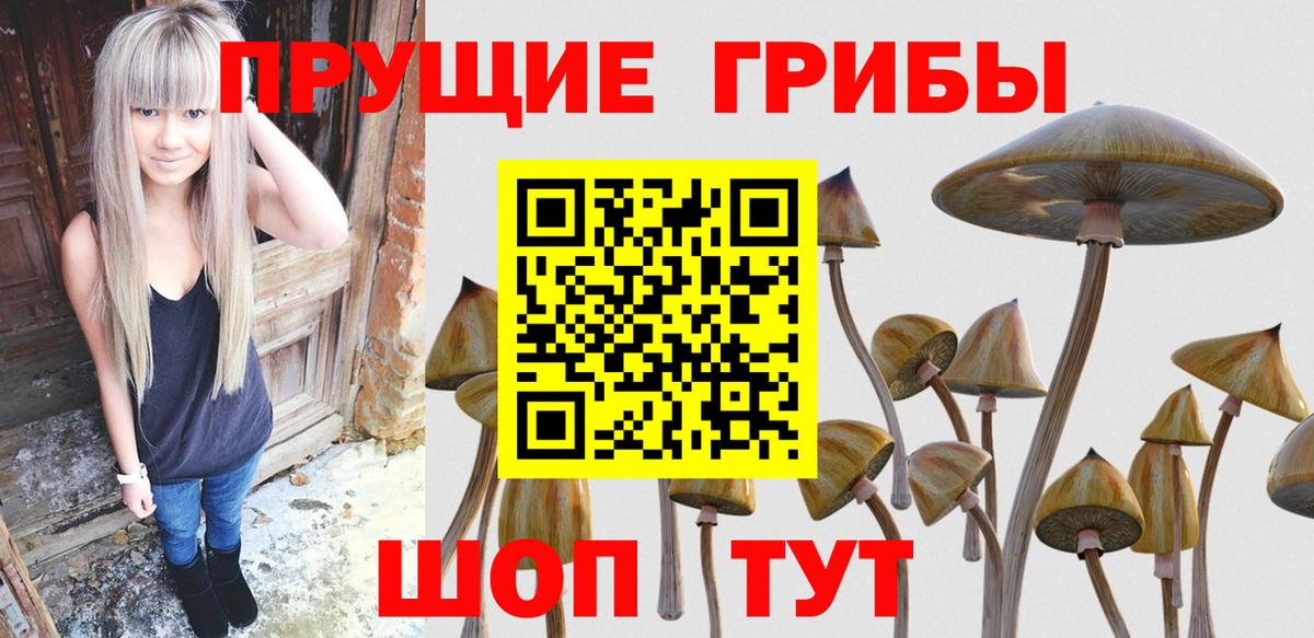 Галлюциногенные грибы ЛСД Кириши